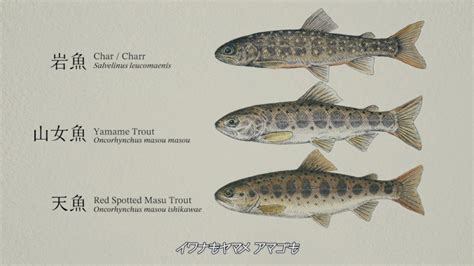 {Epic!} Iwana Fish Profiles! .